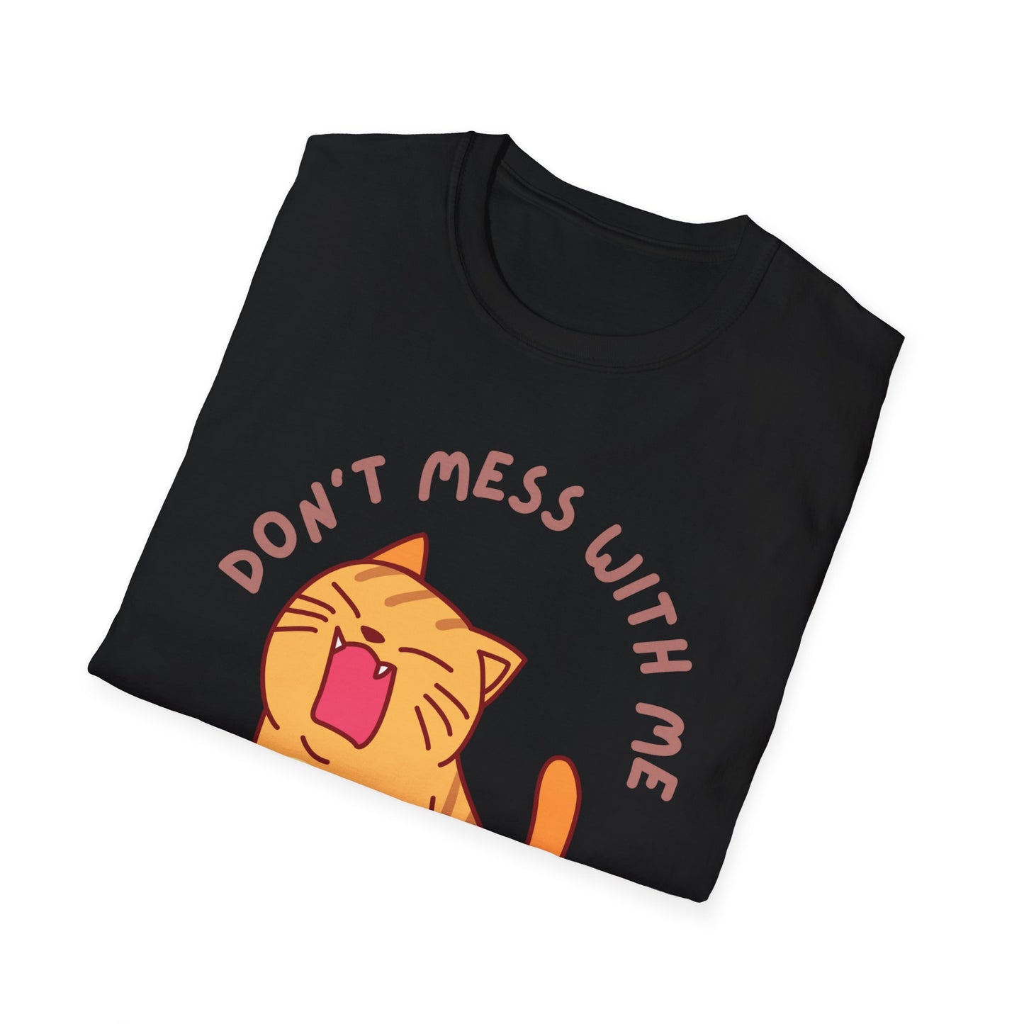 Funny Cat T-shirt Orange Cat Shirt for Cat Mom gifts Cute Kitten T Shirt for Cat Lover gift for Her Kitten T-Shirt Don't Mess With Me