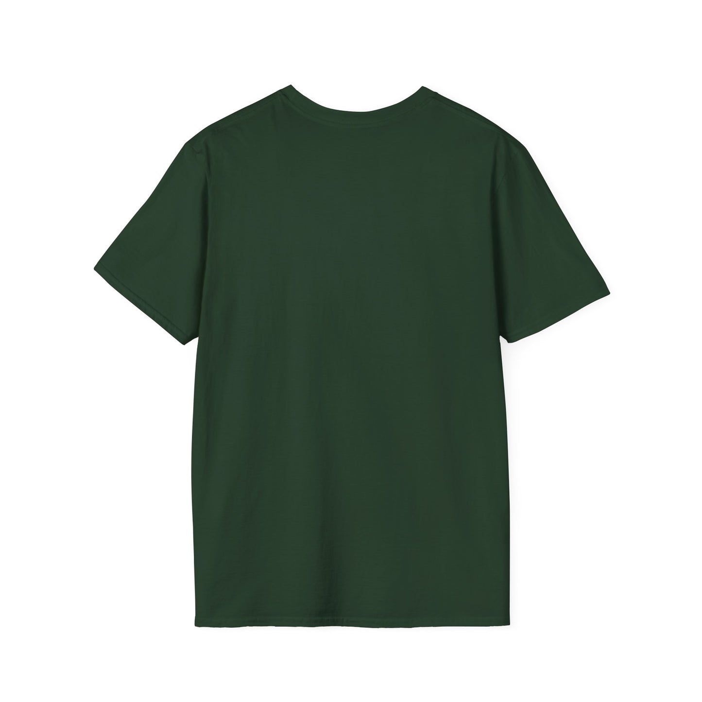 Inspiration Motivational Unisex Softstyle T-Shirt, Positive Tee, Encouragement Shirt, Inspirational Clothing, Men Women's Graphic Top