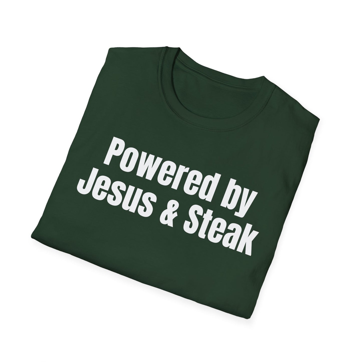 Jesus and Seak T Shirt for Gym Shirts for Christian gifts for Gym Lovers gift Religious Christian T-Shirt for Meat Lovers, Jesus-Powered Tee