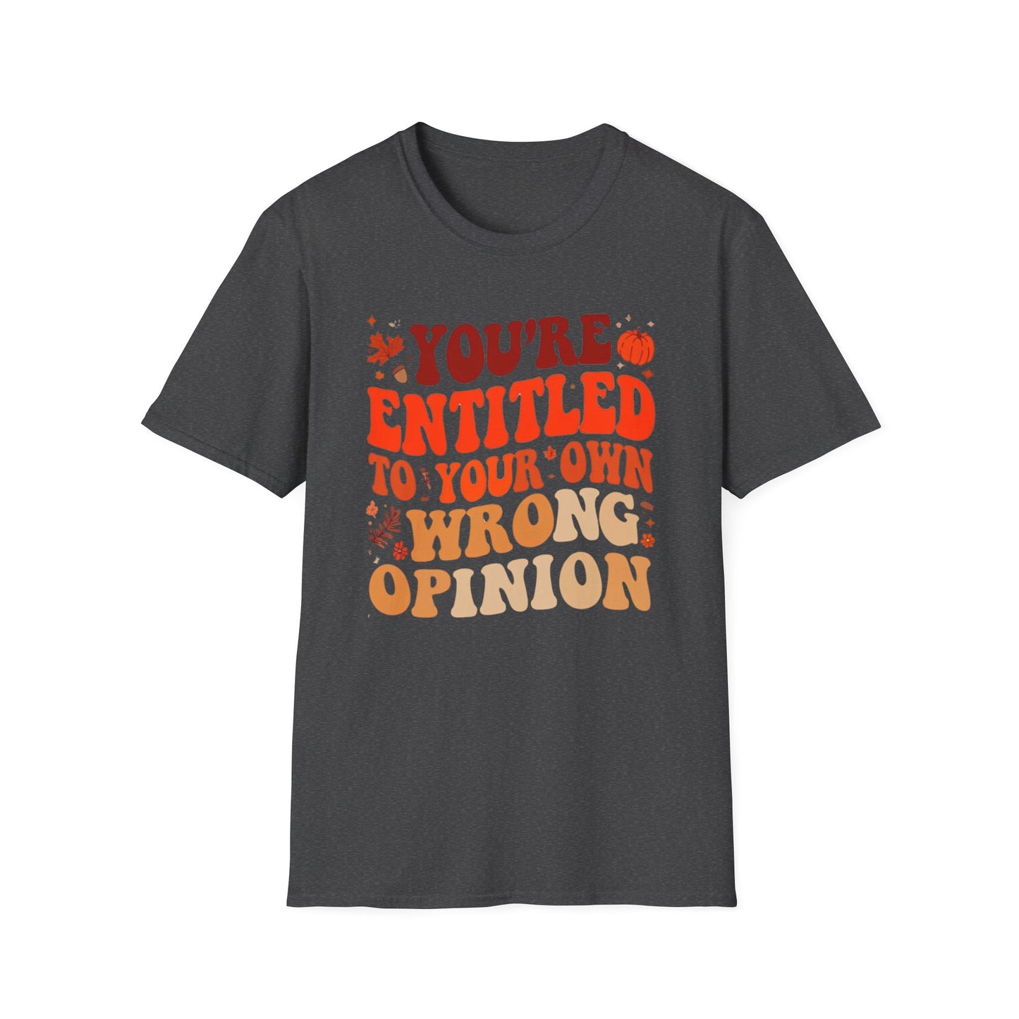 You're Entitled to Your Own Wrong Opinion Tee Shirt For Funny Autumn Tshirt for Fall Season gifts for Christmas gifts for Women