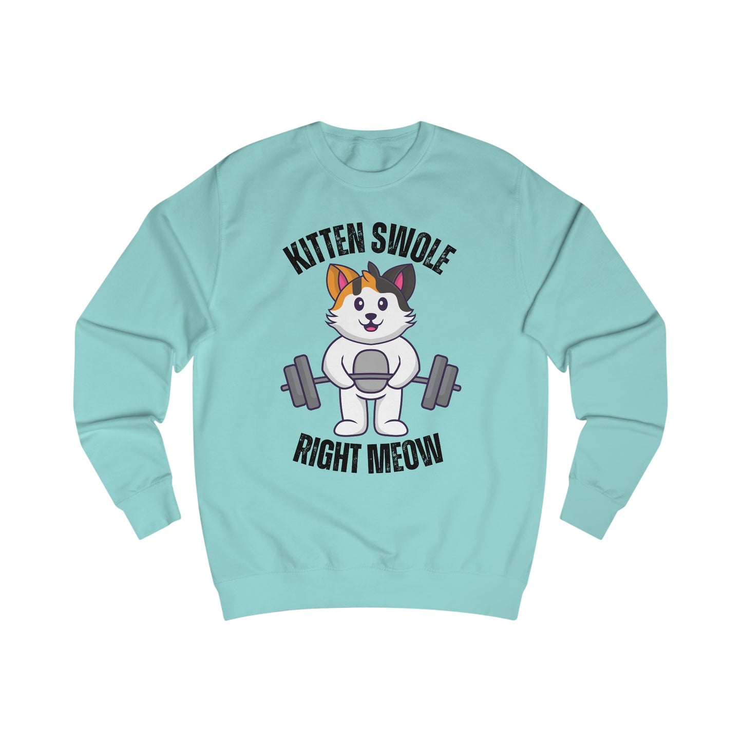 Cat Lifting Weights Sweatshirt for Gym gift for Cat Mom Sweatshirts Powerlifting Cats Working Out Cats Weightlifting Sweatshirt Funny Kitty Gifts