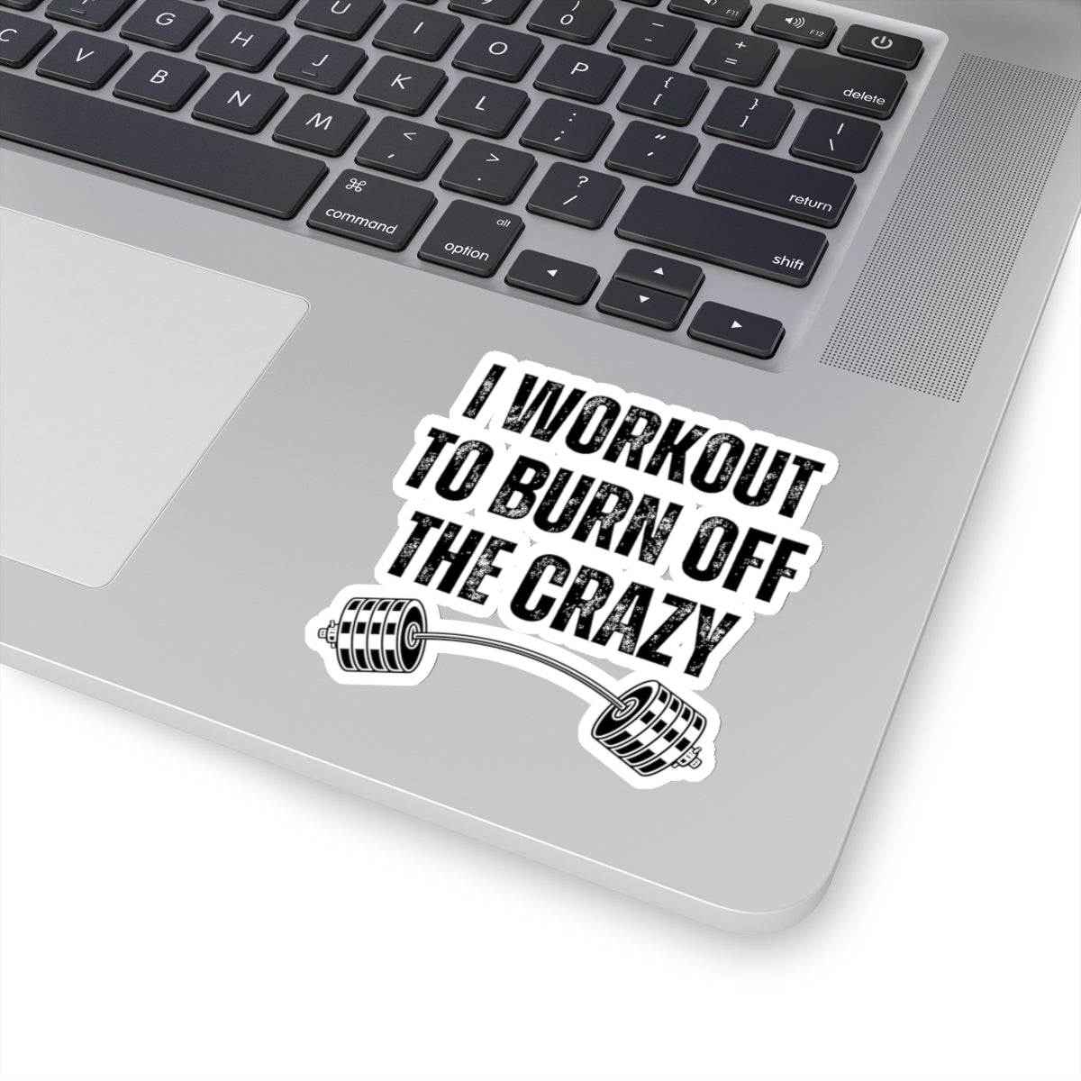 Funny Workout Sticker for Gym Lover gift for Fitness Lover sticker, Gym Sticker, I Workout to Burn Off the Crazy Sticker