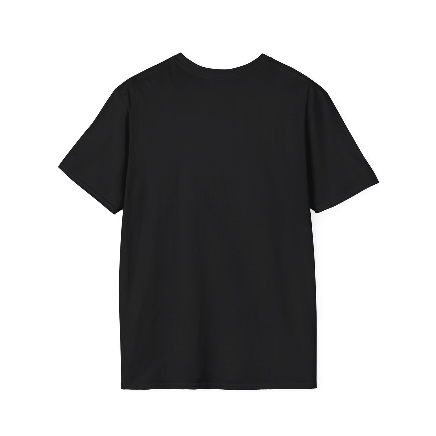 Inspiration Motivational Unisex Softstyle T-Shirt, Positive Tee, Encouragement Shirt, Inspirational Clothing, Men Women's Graphic Top