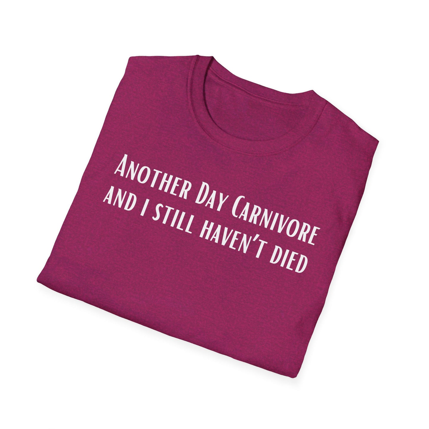 Another Day Carnivore and I Still haven't Died Shirt for Carnivore Diet T Shirts for Meat Lover gifts for BBQ Lovers gift ideas Christmas