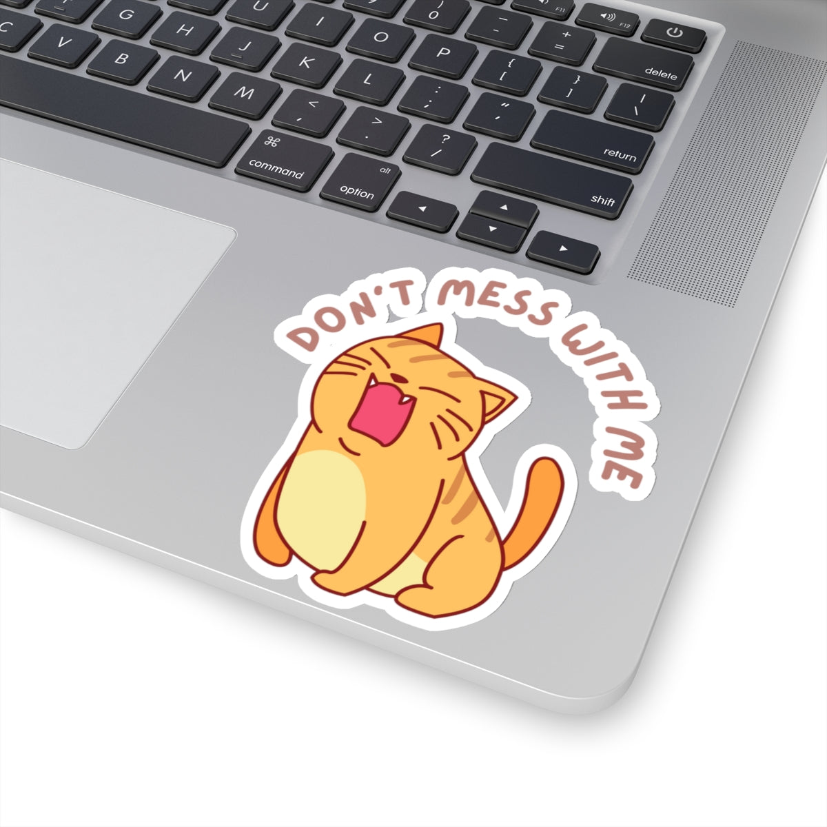 Funny Cat Sticker for Cat Lovers gift for Cat Lover gifts for friend gift Cute Cat Stickers Kitty Sticker Cat Stickers for Laptop Sticker