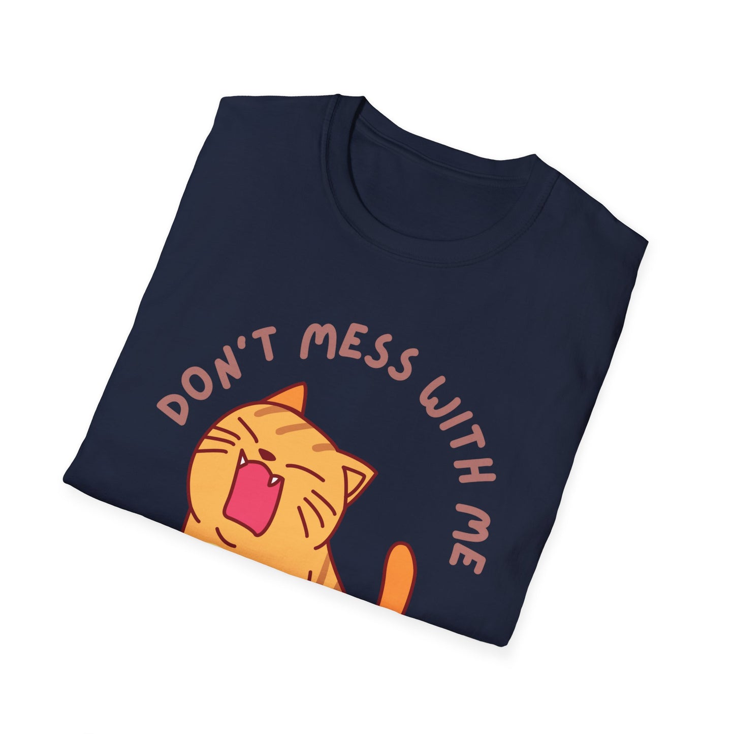 Funny Cat T-shirt Orange Cat Shirt for Cat Mom gifts Cute Kitten T Shirt for Cat Lover gift for Her Kitten T-Shirt Don't Mess With Me