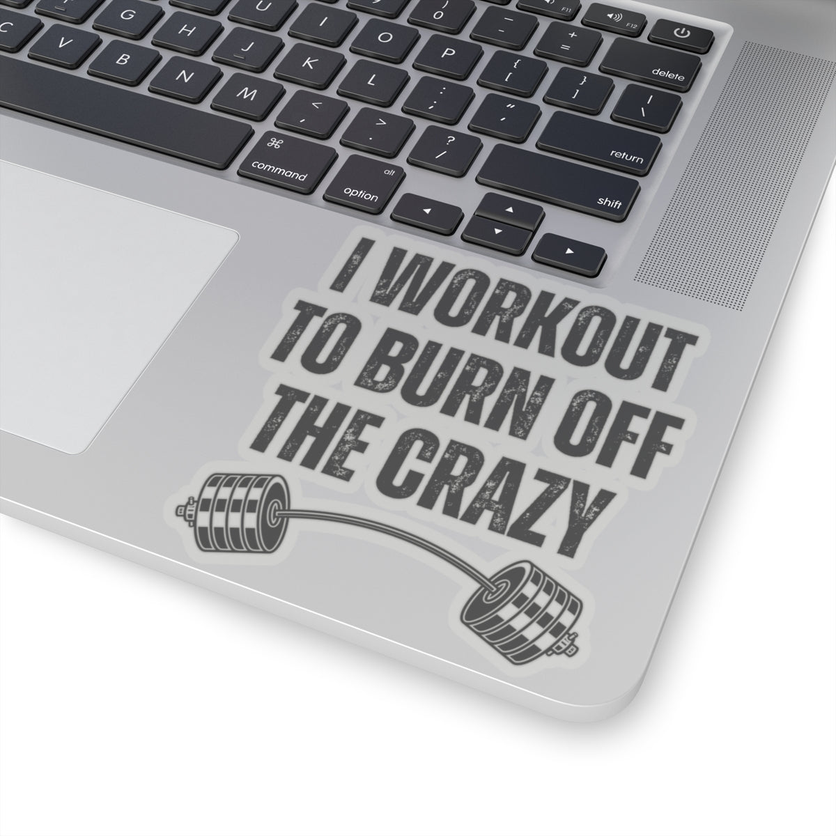Funny Workout Sticker for Gym Lover gift for Fitness Lover sticker, Gym Sticker, I Workout to Burn Off the Crazy Sticker