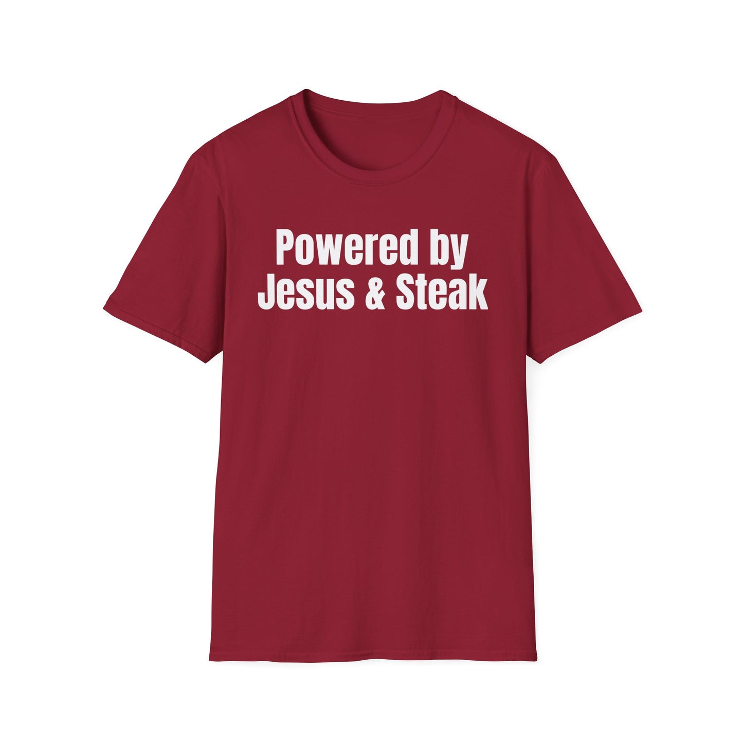 Jesus and Seak T Shirt for Gym Shirts for Christian gifts for Gym Lovers gift Religious Christian T-Shirt for Meat Lovers, Jesus-Powered Tee