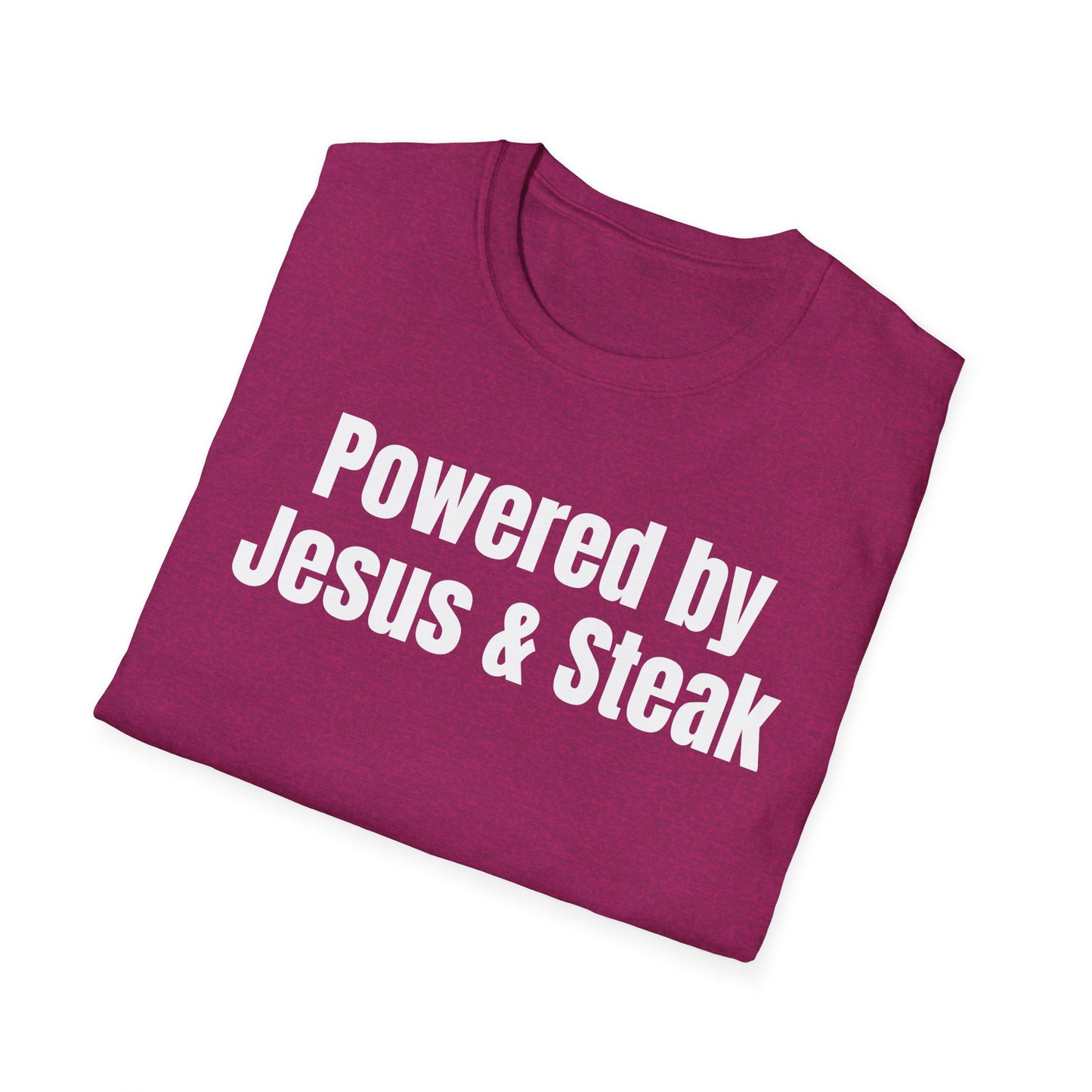 Jesus and Seak T Shirt for Gym Shirts for Christian gifts for Gym Lovers gift Religious Christian T-Shirt for Meat Lovers, Jesus-Powered Tee