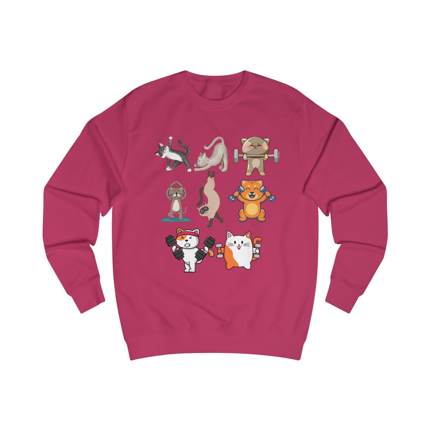 Funny Cats Working Out Sweatshirt Cat SweatShirts for Gym Lover gift for Cat Lover Cats Working Out Weightlifting Cats Lifting Weights Pull Over Sweater