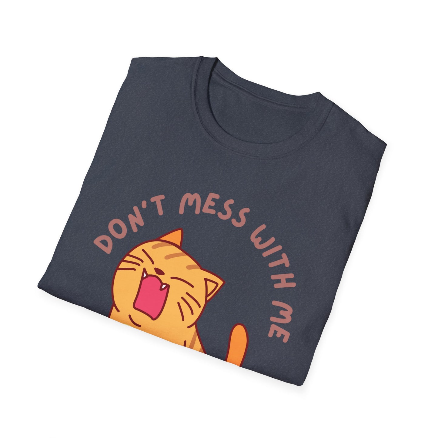 Funny Cat T-shirt Orange Cat Shirt for Cat Mom gifts Cute Kitten T Shirt for Cat Lover gift for Her Kitten T-Shirt Don't Mess With Me