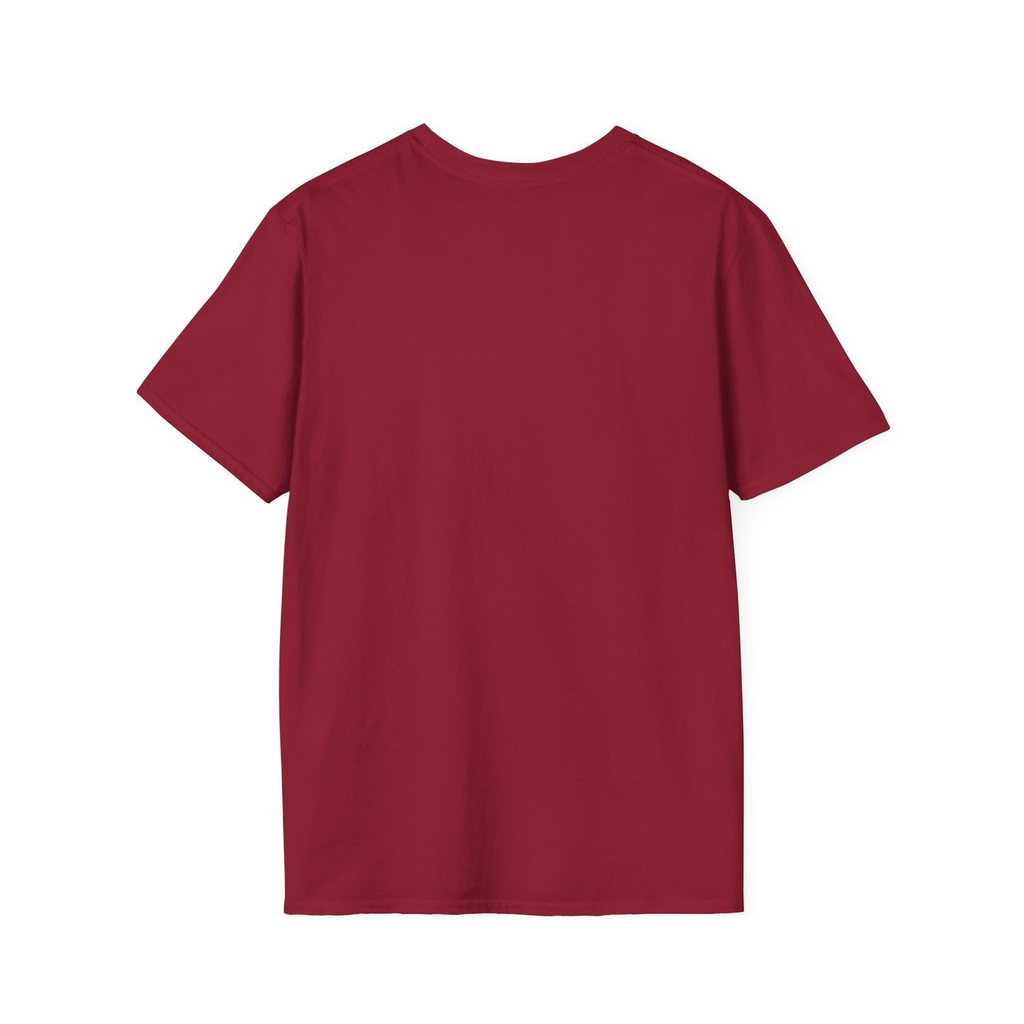 Inspiration Motivational Unisex Softstyle T-Shirt, Positive Tee, Encouragement Shirt, Inspirational Clothing, Men Women's Graphic Top