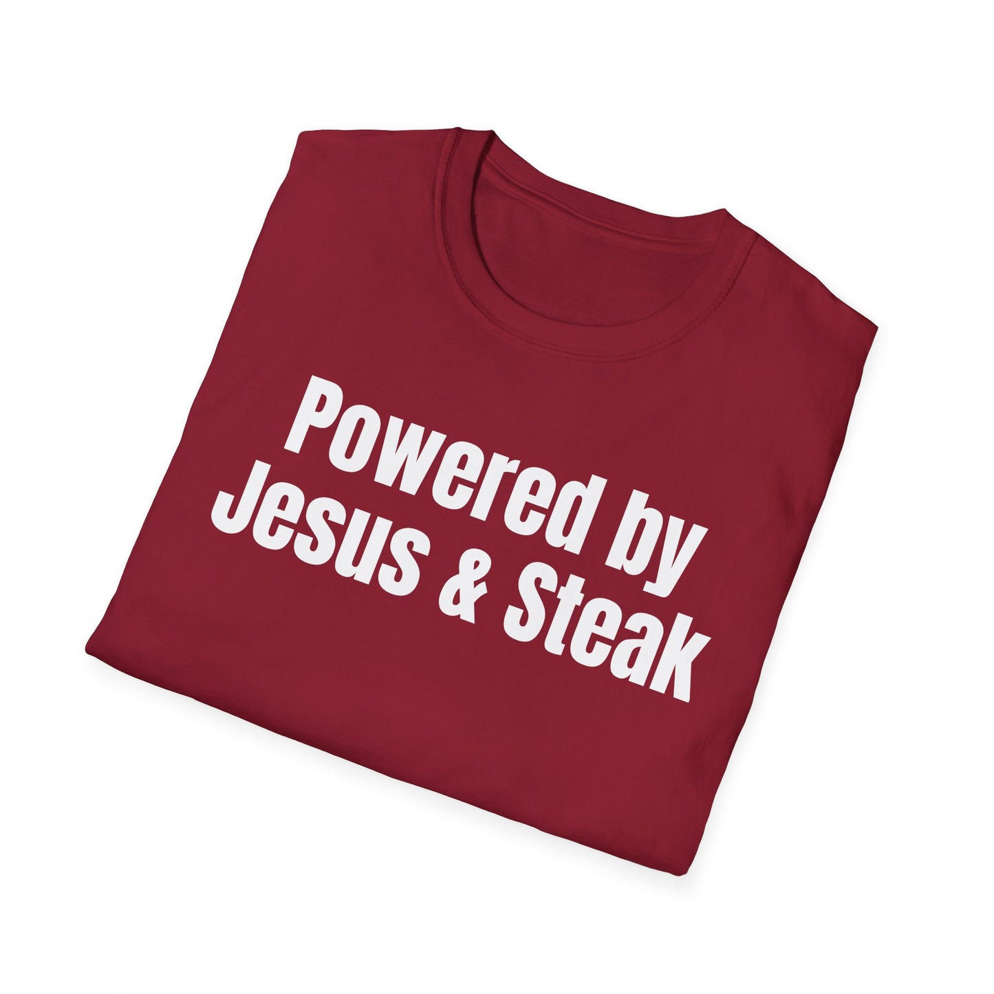 Jesus and Seak T Shirt for Gym Shirts for Christian gifts for Gym Lovers gift Religious Christian T-Shirt for Meat Lovers, Jesus-Powered Tee