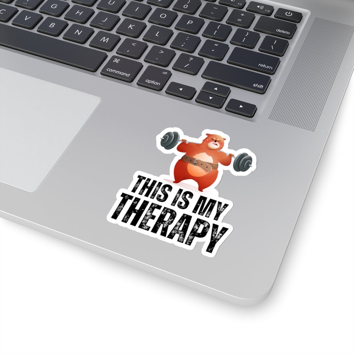 Funny Weightlifting Sticker for Gym Lover gift for Fitness Lover gift for Powerlifting Sticker THIS is my THERAPY Sticker