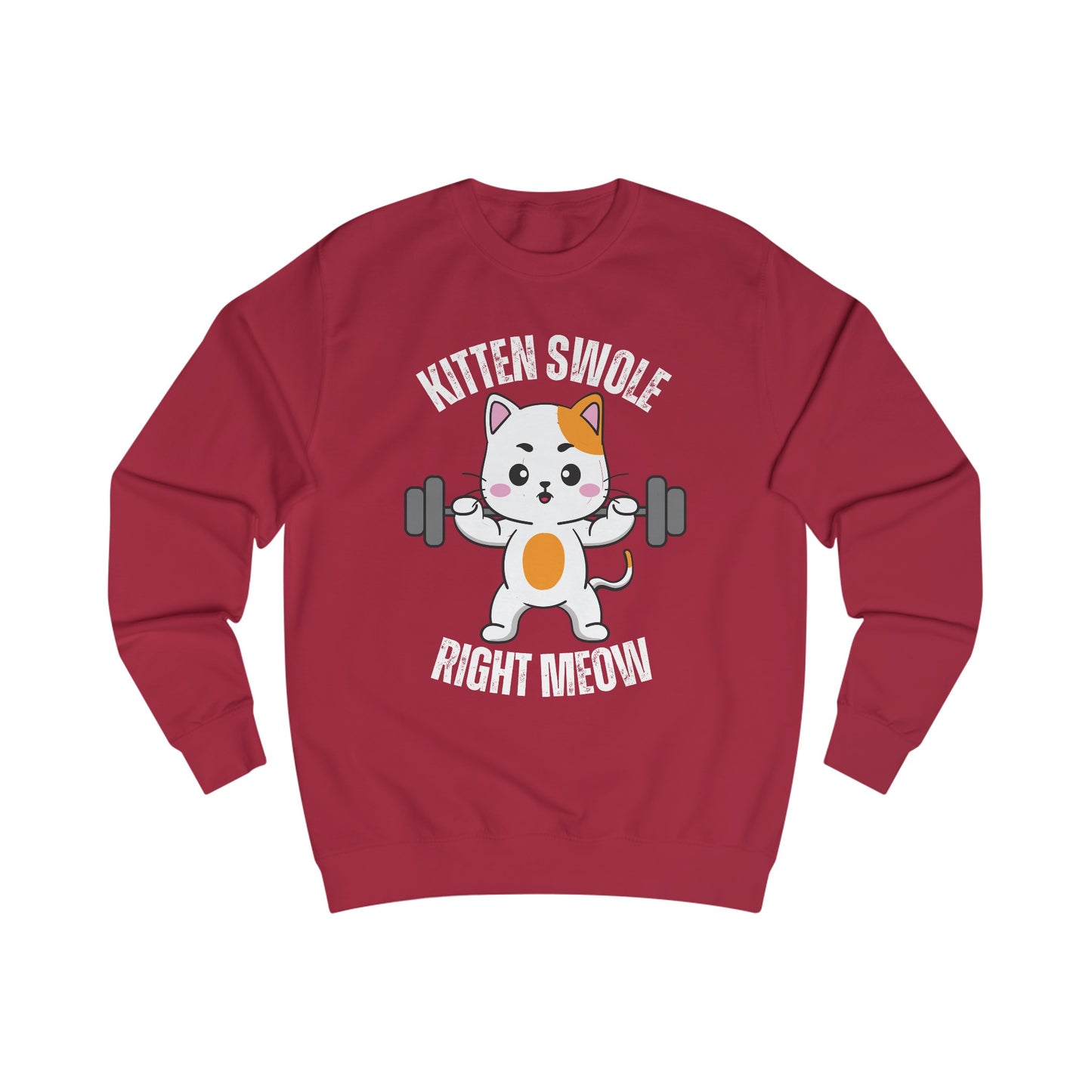 Cat Working out SweatShirt for Cat Lover gift for Gym Lover gift for Fitness Gift - Funny Cat Sweatshirt - Gym Pullover Sweater