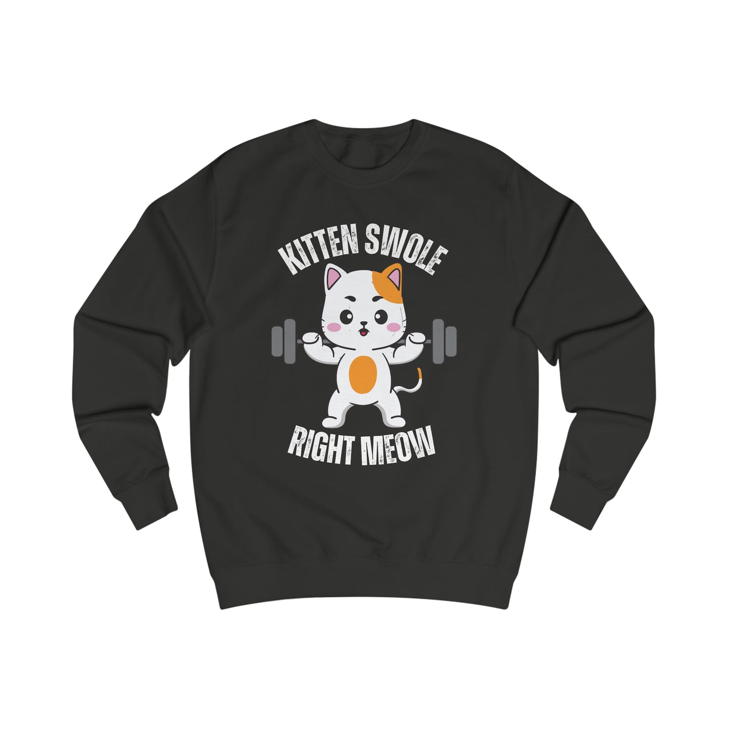Cat Working out SweatShirt for Cat Lover gift for Gym Lover gift for Fitness Gift - Funny Cat Sweatshirt - Gym Pullover Sweater