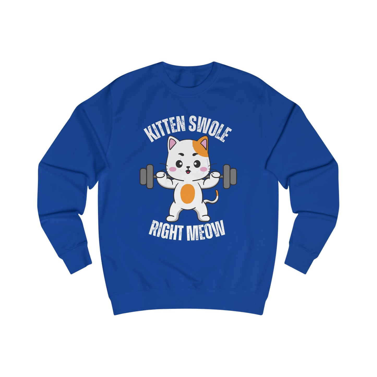 Cat Working out SweatShirt for Cat Lover gift for Gym Lover gift for Fitness Gift - Funny Cat Sweatshirt - Gym Pullover Sweater