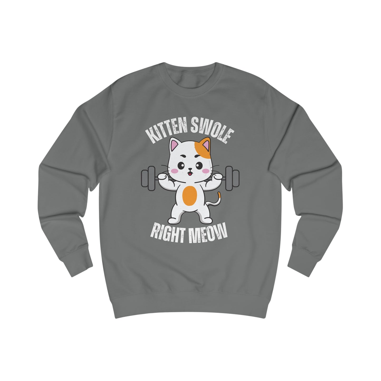 Cat Working out SweatShirt for Cat Lover gift for Gym Lover gift for Fitness Gift - Funny Cat Sweatshirt - Gym Pullover Sweater