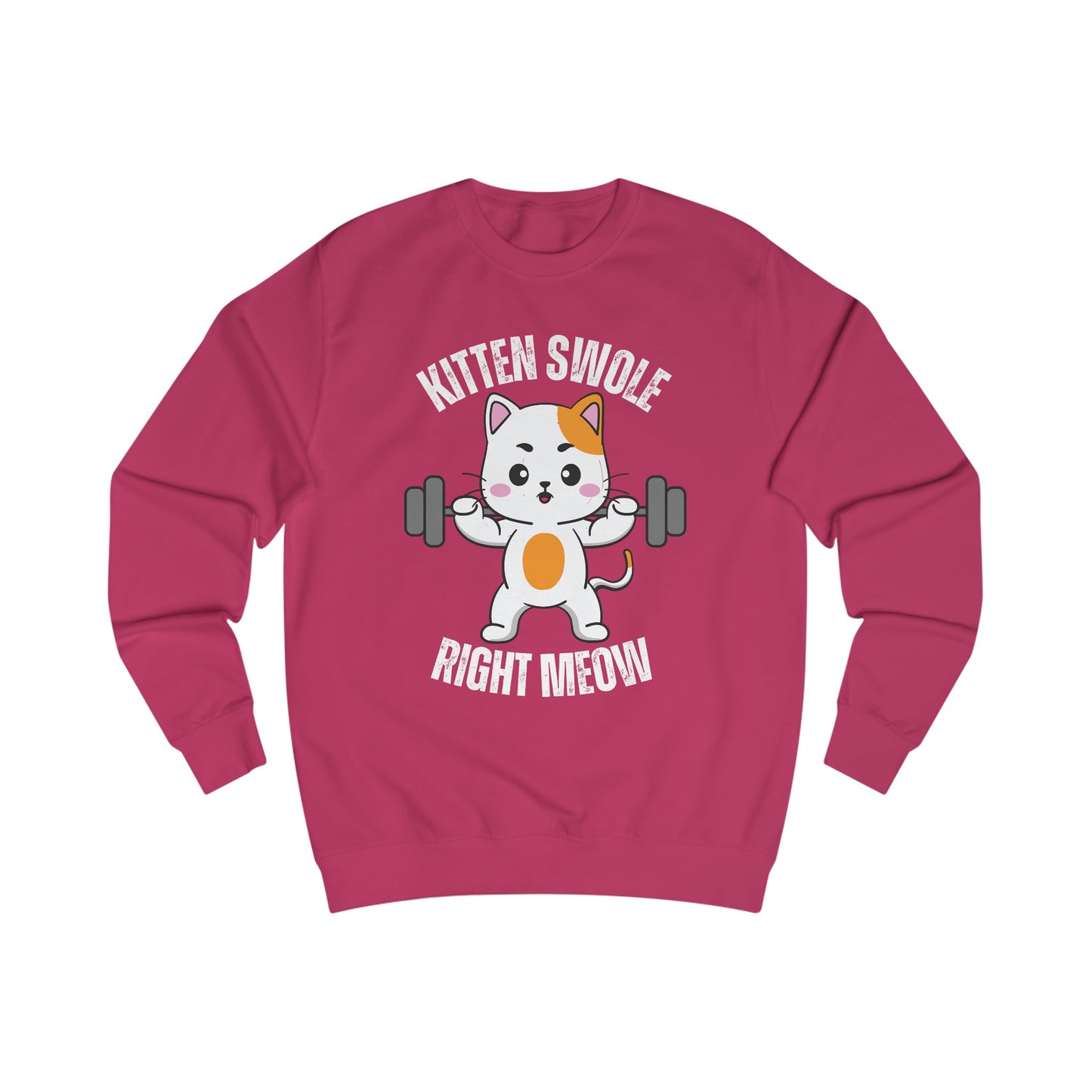 Cat Working out SweatShirt for Cat Lover gift for Gym Lover gift for Fitness Gift - Funny Cat Sweatshirt - Gym Pullover Sweater