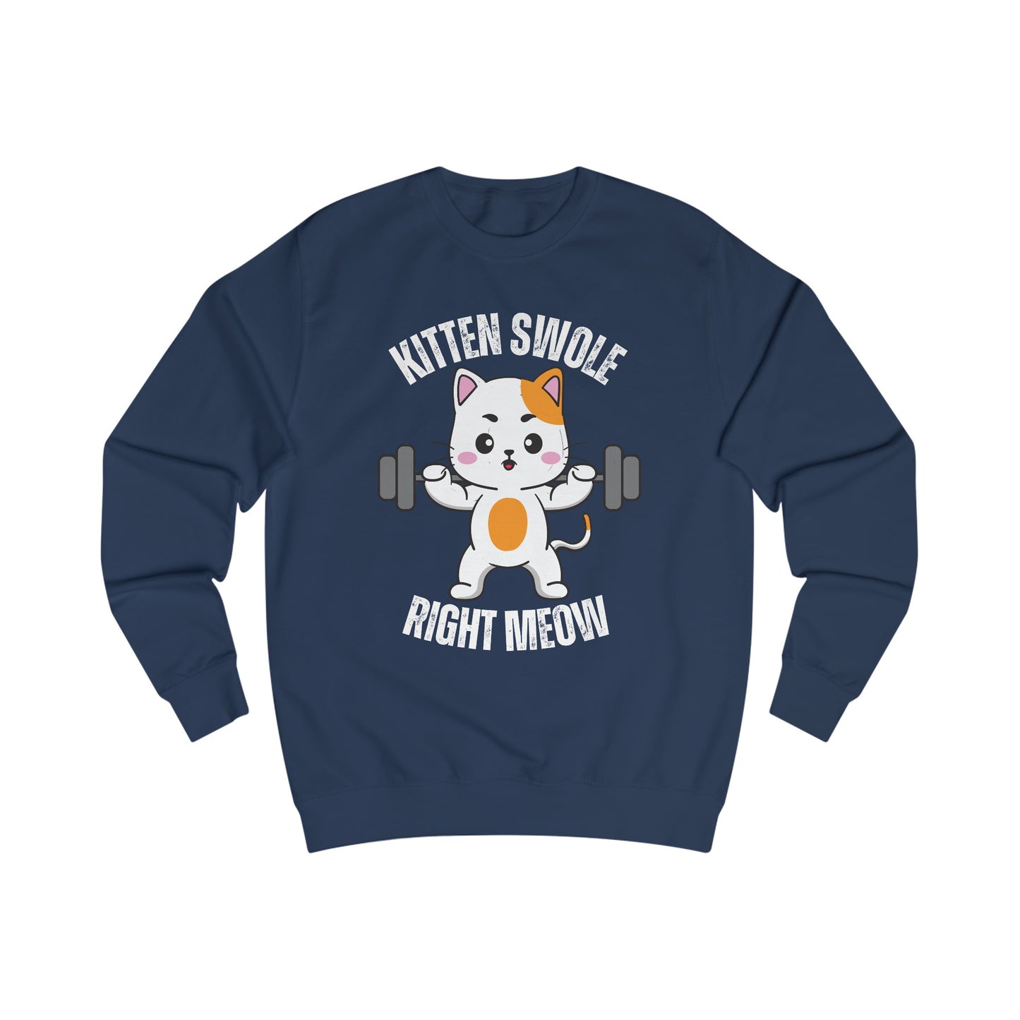 Cat Working out SweatShirt for Cat Lover gift for Gym Lover gift for Fitness Gift - Funny Cat Sweatshirt - Gym Pullover Sweater
