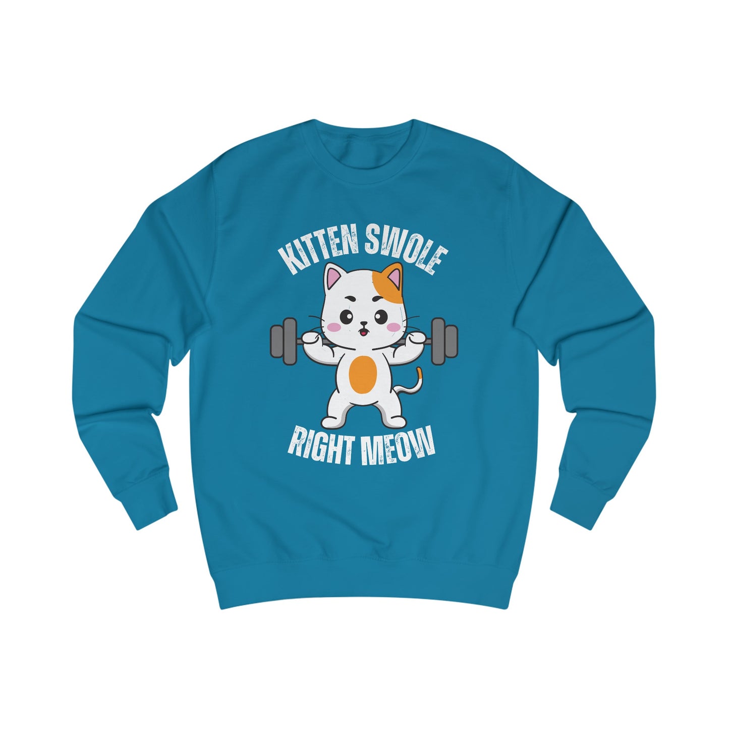 Cat Working out SweatShirt for Cat Lover gift for Gym Lover gift for Fitness Gift - Funny Cat Sweatshirt - Gym Pullover Sweater