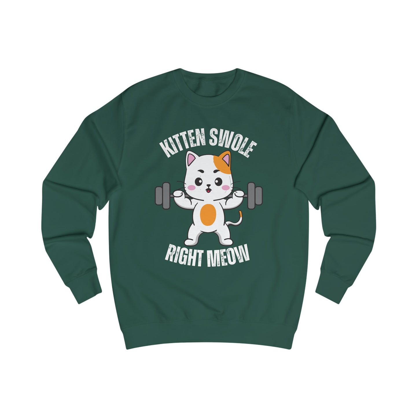 Cat Working out SweatShirt for Cat Lover gift for Gym Lover gift for Fitness Gift - Funny Cat Sweatshirt - Gym Pullover Sweater