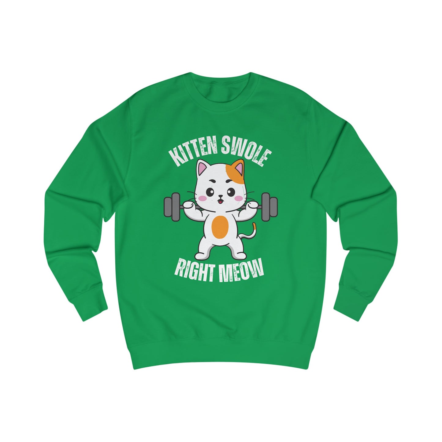 Cat Working out SweatShirt for Cat Lover gift for Gym Lover gift for Fitness Gift - Funny Cat Sweatshirt - Gym Pullover Sweater