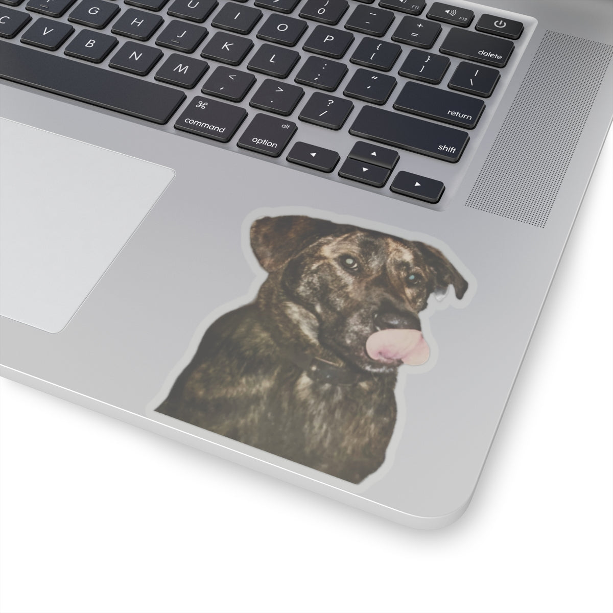 Funny Dog Sticker for Dog Lover gift for Dog Mom Cute Brindle Dog Stickers for Dog Dad Gifts for Her Water bottle sticker for laptop