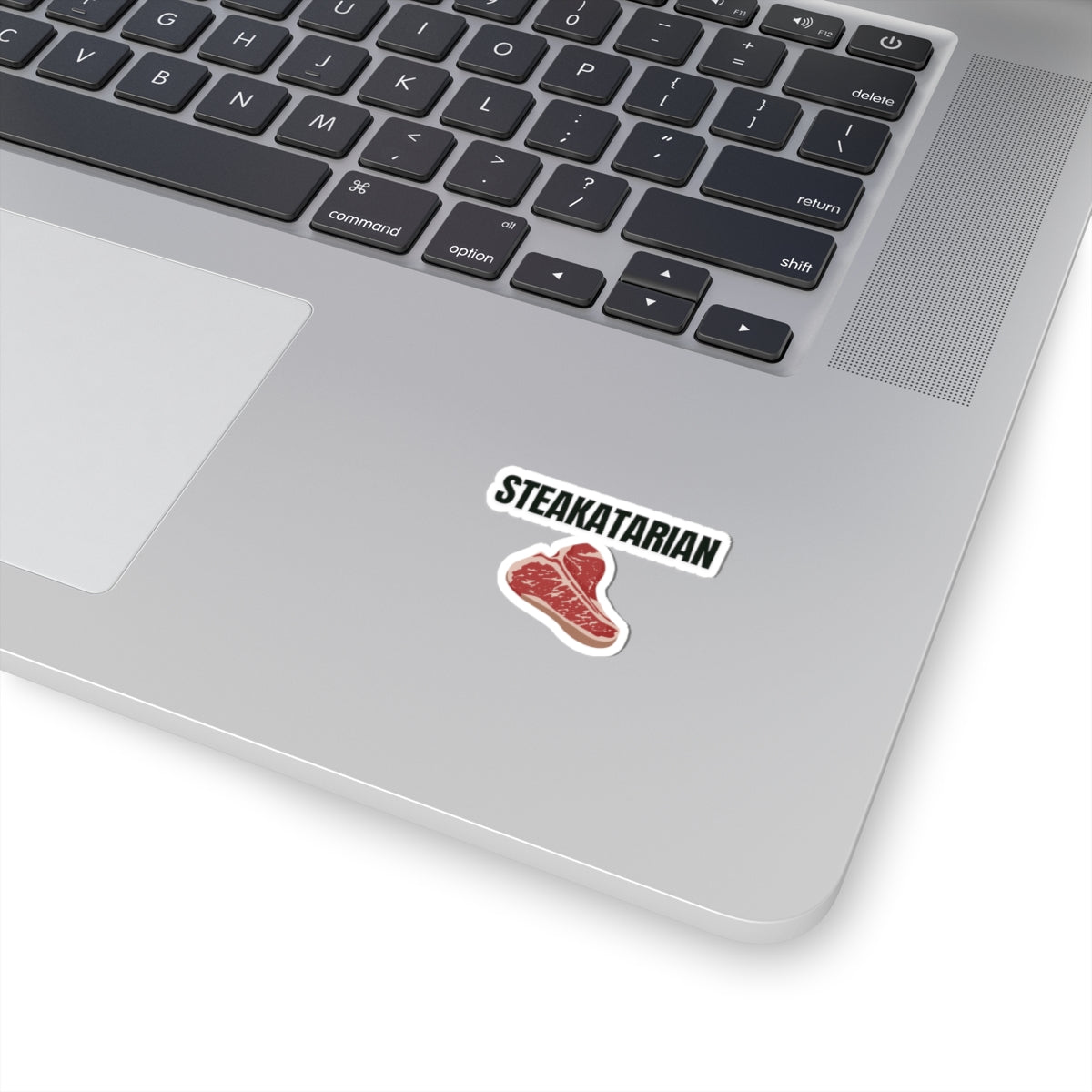 Steak Lover sticker for Meat Lover gift for Grilling gifts for Barbecue BBQ Lovers presents for Him Funny Steakatarian  Carnivore Stickers