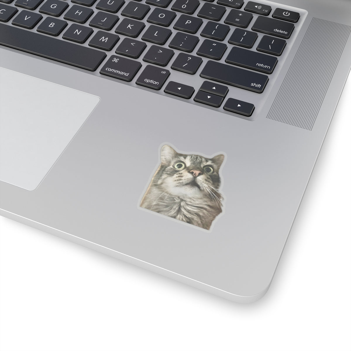 Funny Cat Sticker for Cat Lover Gift for Cat Mom Cute Cat Stickers for Funny gifts for Cat Lovers Adorable Maine Coon Kitty