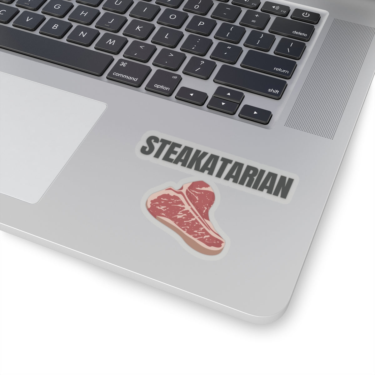 Steak Lover sticker for Meat Lover gift for Grilling gifts for Barbecue BBQ Lovers presents for Him Funny Steakatarian  Carnivore Stickers