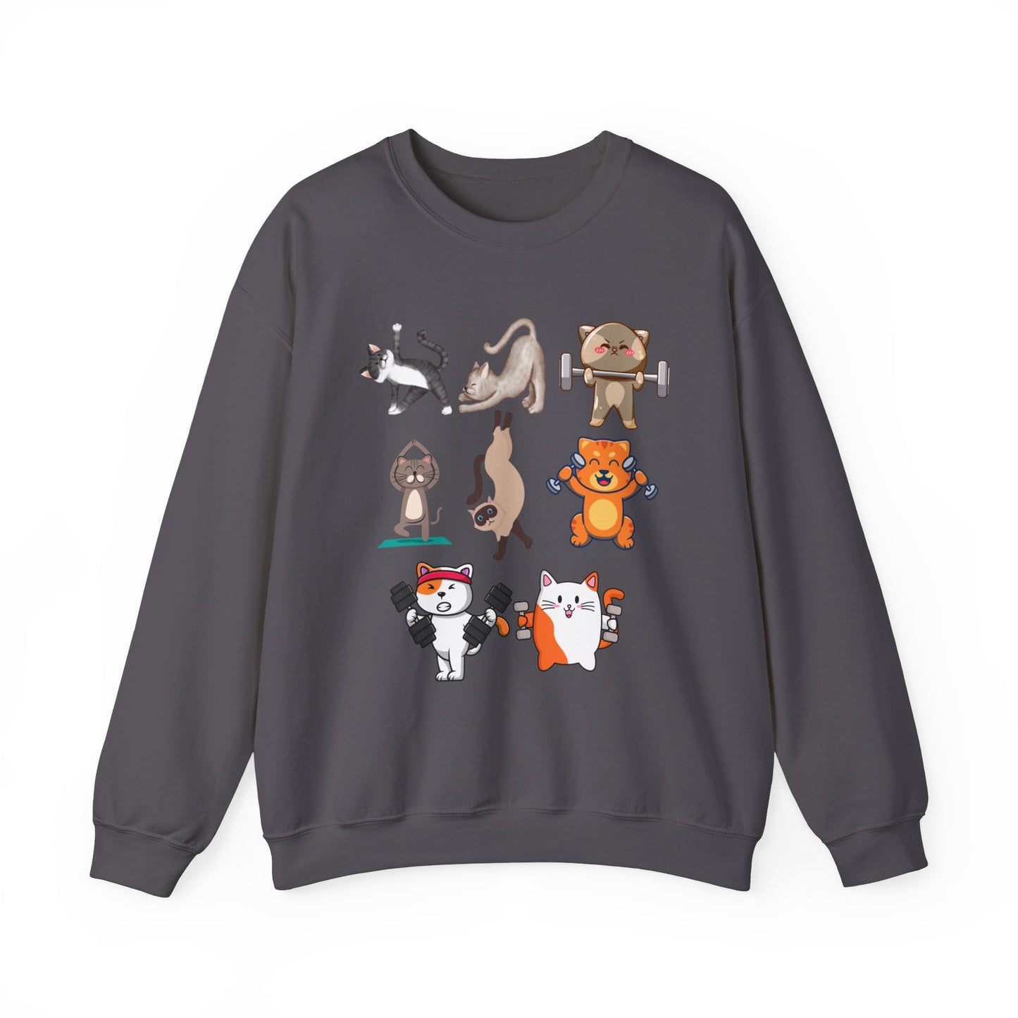 Funny Cat Pullover for Cat Lover gift for Fitness Lover gift for Gym Lover Cats Working out Sweat Shirt