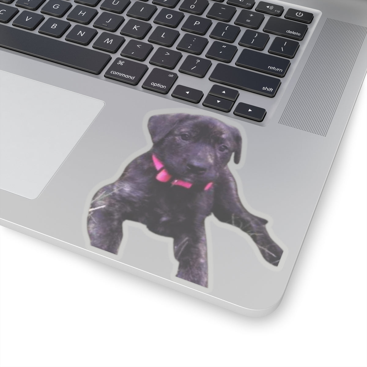 Cute Puppy Sticker for Dog Dad gifts Brindle Dog Sticker for Dog Lover Gift Dog Mom Gift