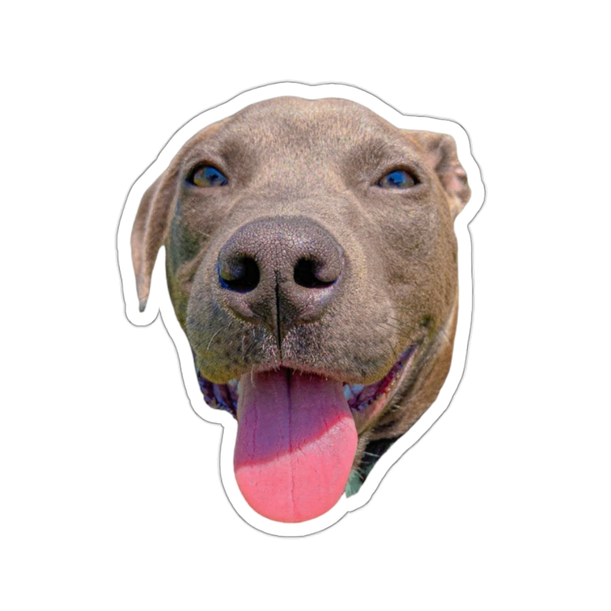 Pit Bull Sticker Cute Dog Stickers for Dog Lover gift for Dog dad gifts for Dog Mom Funny & Cute Pit Bull Dog Sticker Kiss-Cut Stickers