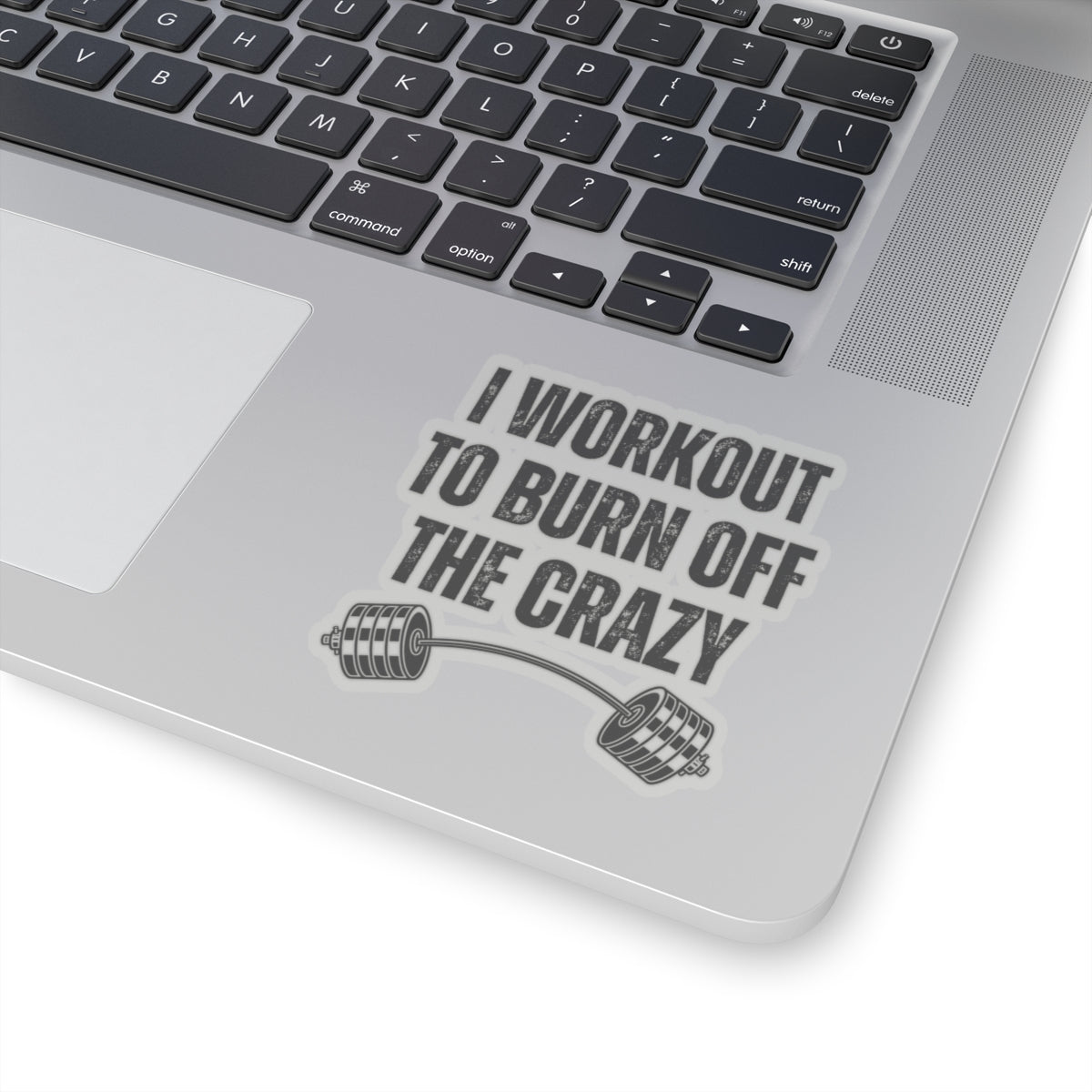 Funny Workout Sticker for Gym Lover gift for Fitness Lover sticker, Gym Sticker, I Workout to Burn Off the Crazy Sticker