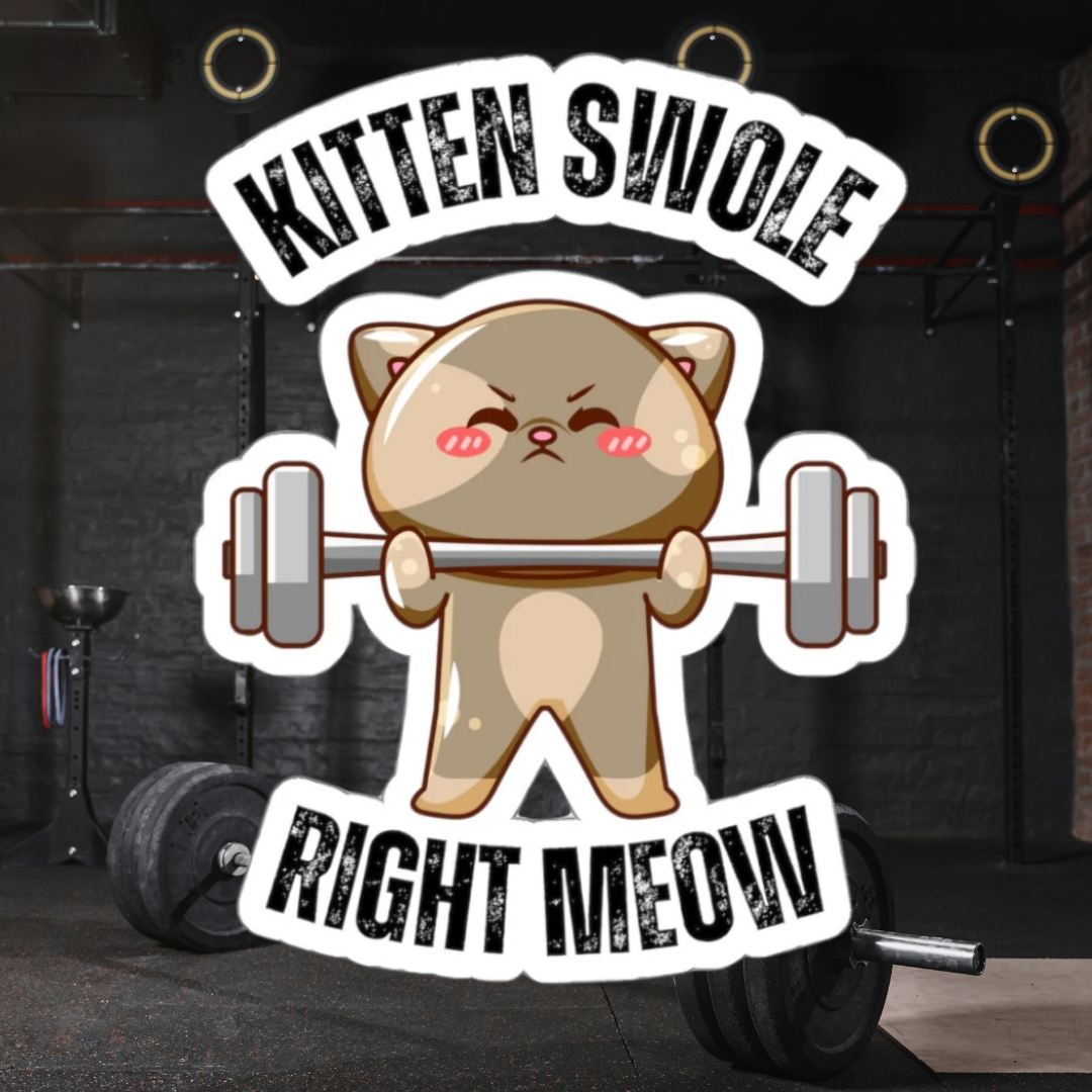 Funny CAT Weightlifting Sticker for Gym Lover gift for Fitness Lover gift for Cat Lover Sticker Funny Cat Stickers Kitten Swole Right Meow