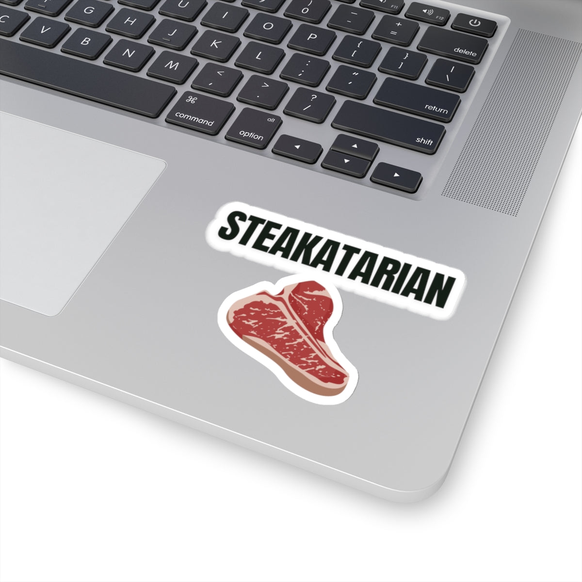 Steak Lover sticker for Meat Lover gift for Grilling gifts for Barbecue BBQ Lovers presents for Him Funny Steakatarian  Carnivore Stickers