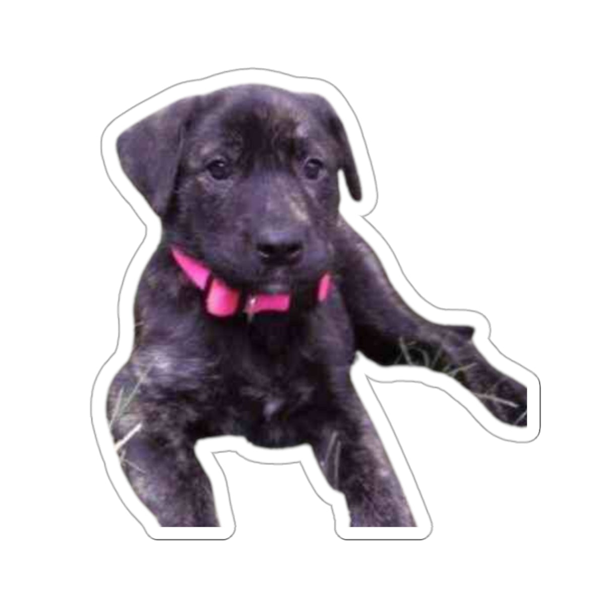 Cute Puppy Sticker for Dog Dad gifts Brindle Dog Sticker for Dog Lover Gift Dog Mom Gift