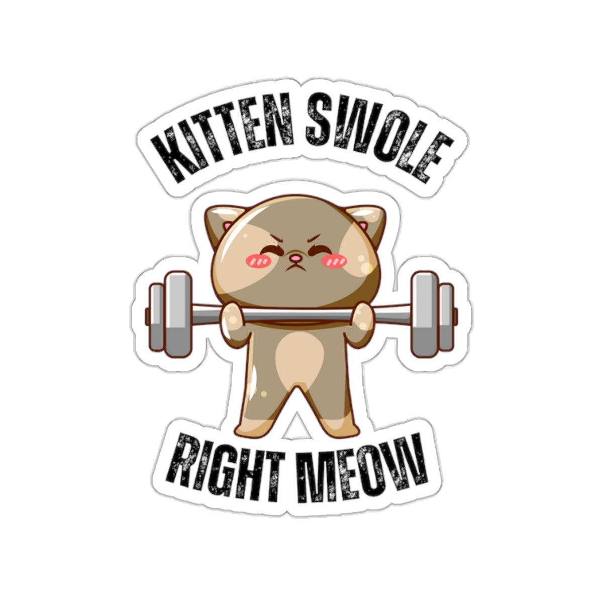 Funny CAT Weightlifting Sticker for Gym Lover gift for Fitness Lover gift for Cat Lover Sticker Funny Cat Stickers Kitten Swole Right Meow