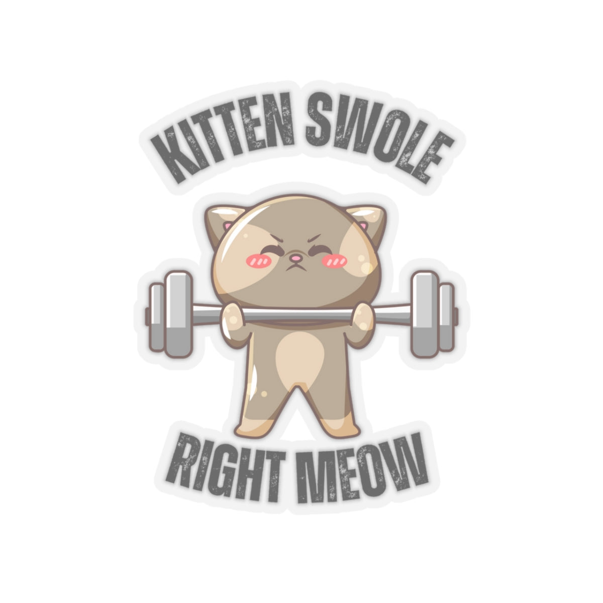 Funny CAT Weightlifting Sticker for Gym Lover gift for Fitness Lover gift for Cat Lover Sticker Funny Cat Stickers Kitten Swole Right Meow