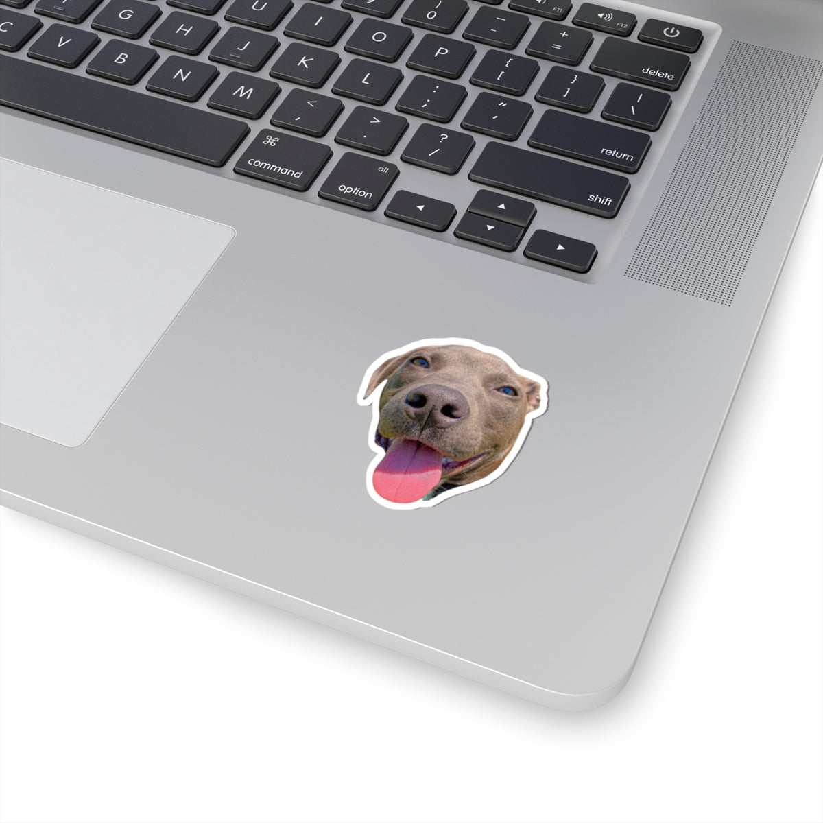 Pit Bull Sticker Cute Dog Stickers for Dog Lover gift for Dog dad gifts for Dog Mom Funny & Cute Pit Bull Dog Sticker Kiss-Cut Stickers