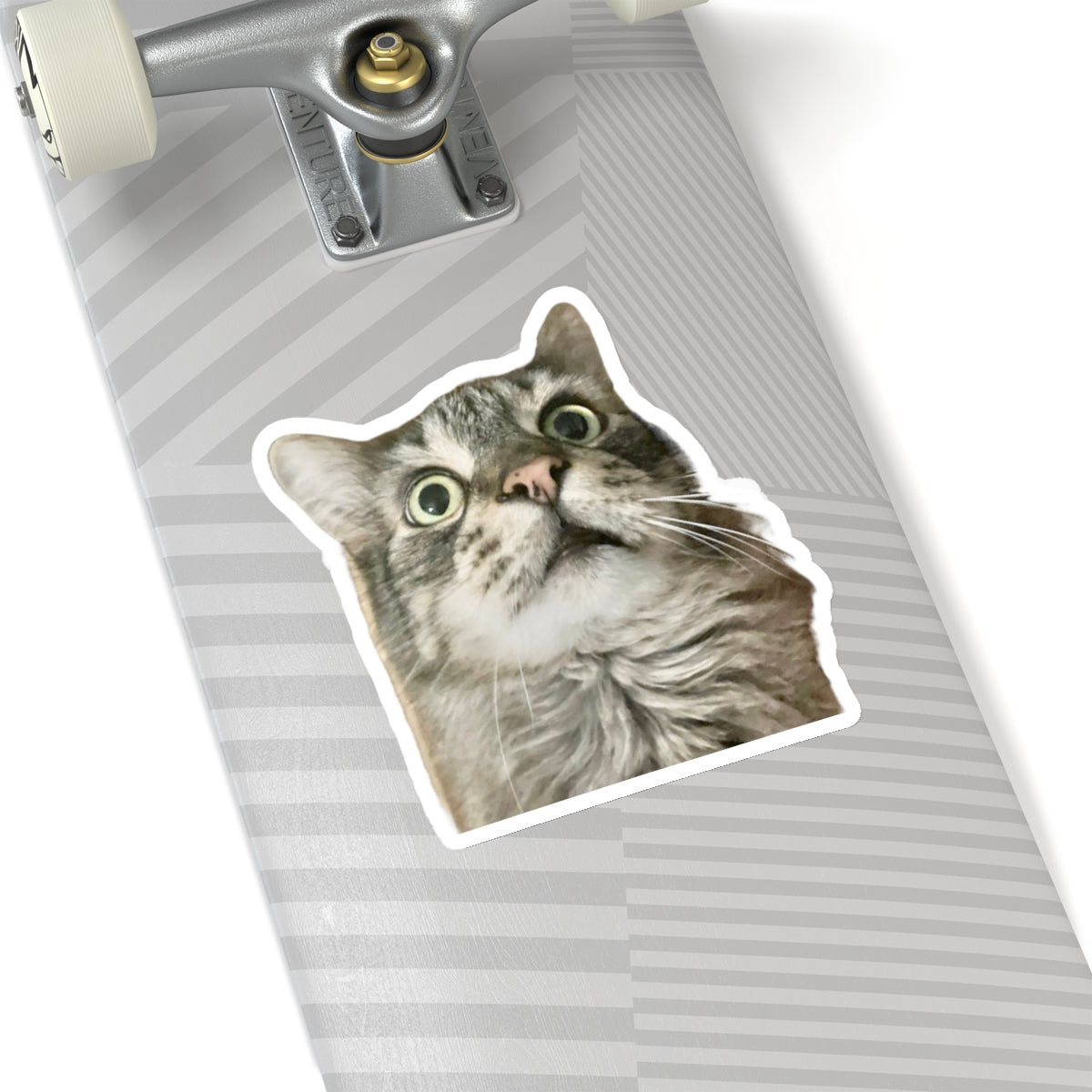 Funny Cat Sticker for Cat Lover Gift for Cat Mom Cute Cat Stickers for Funny gifts for Cat Lovers Adorable Maine Coon Kitty
