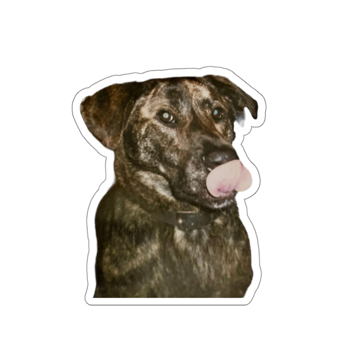 Funny Dog Sticker for Dog Lover gift for Dog Mom Cute Brindle Dog Stickers for Dog Dad Gifts for Her Water bottle sticker for laptop