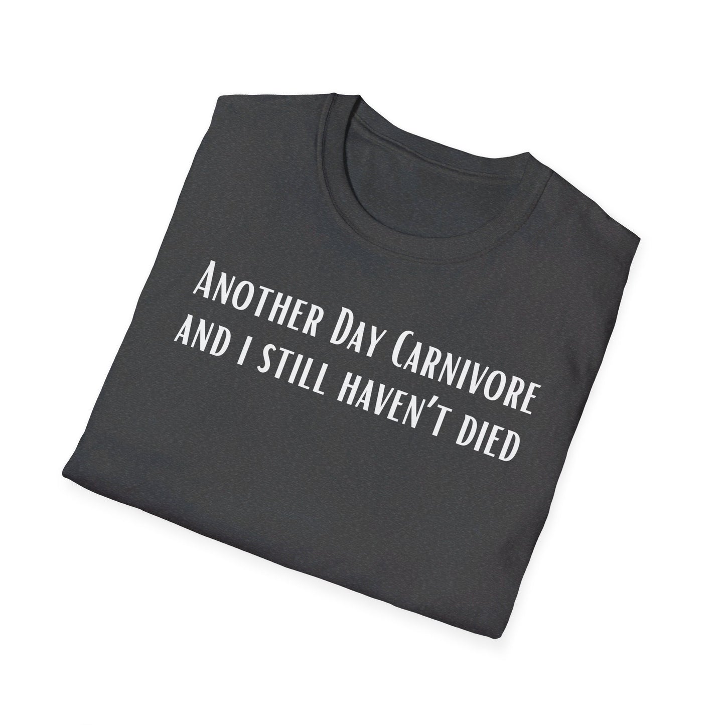 Another Day Carnivore and I Still haven't Died Shirt for Carnivore Diet T Shirts for Meat Lover gifts for BBQ Lovers gift ideas Christmas