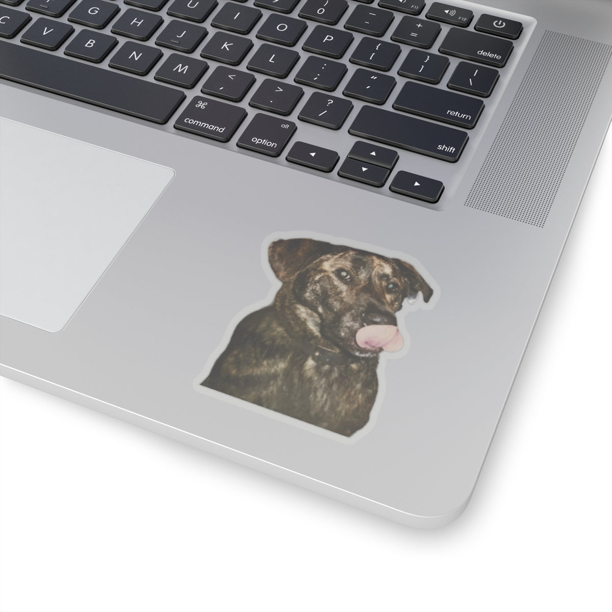Funny Dog Sticker for Dog Lover gift for Dog Mom Cute Brindle Dog Stickers for Dog Dad Gifts for Her Water bottle sticker for laptop