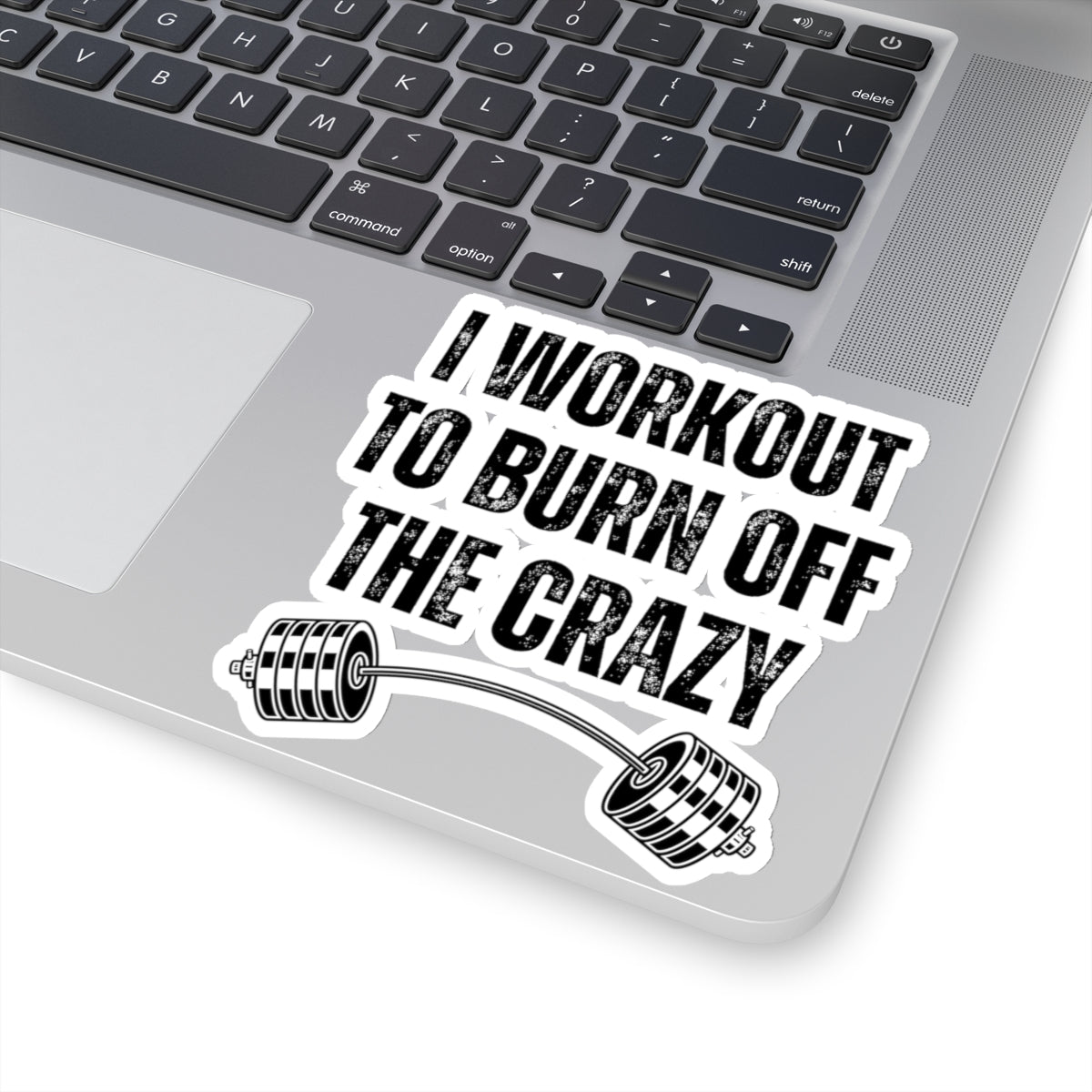 Funny Workout Sticker for Gym Lover gift for Fitness Lover sticker, Gym Sticker, I Workout to Burn Off the Crazy Sticker