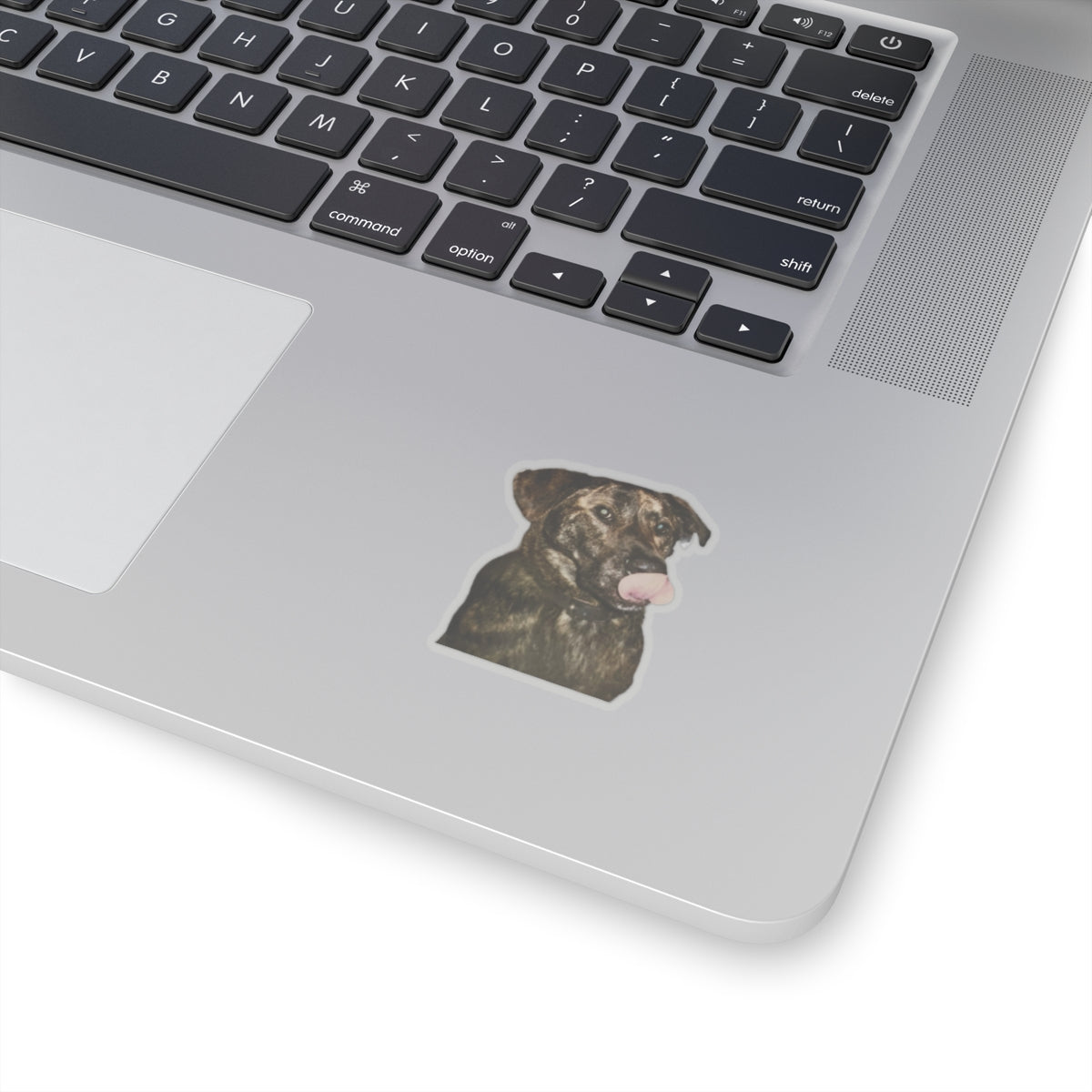 Funny Dog Sticker for Dog Lover gift for Dog Mom Cute Brindle Dog Stickers for Dog Dad Gifts for Her Water bottle sticker for laptop