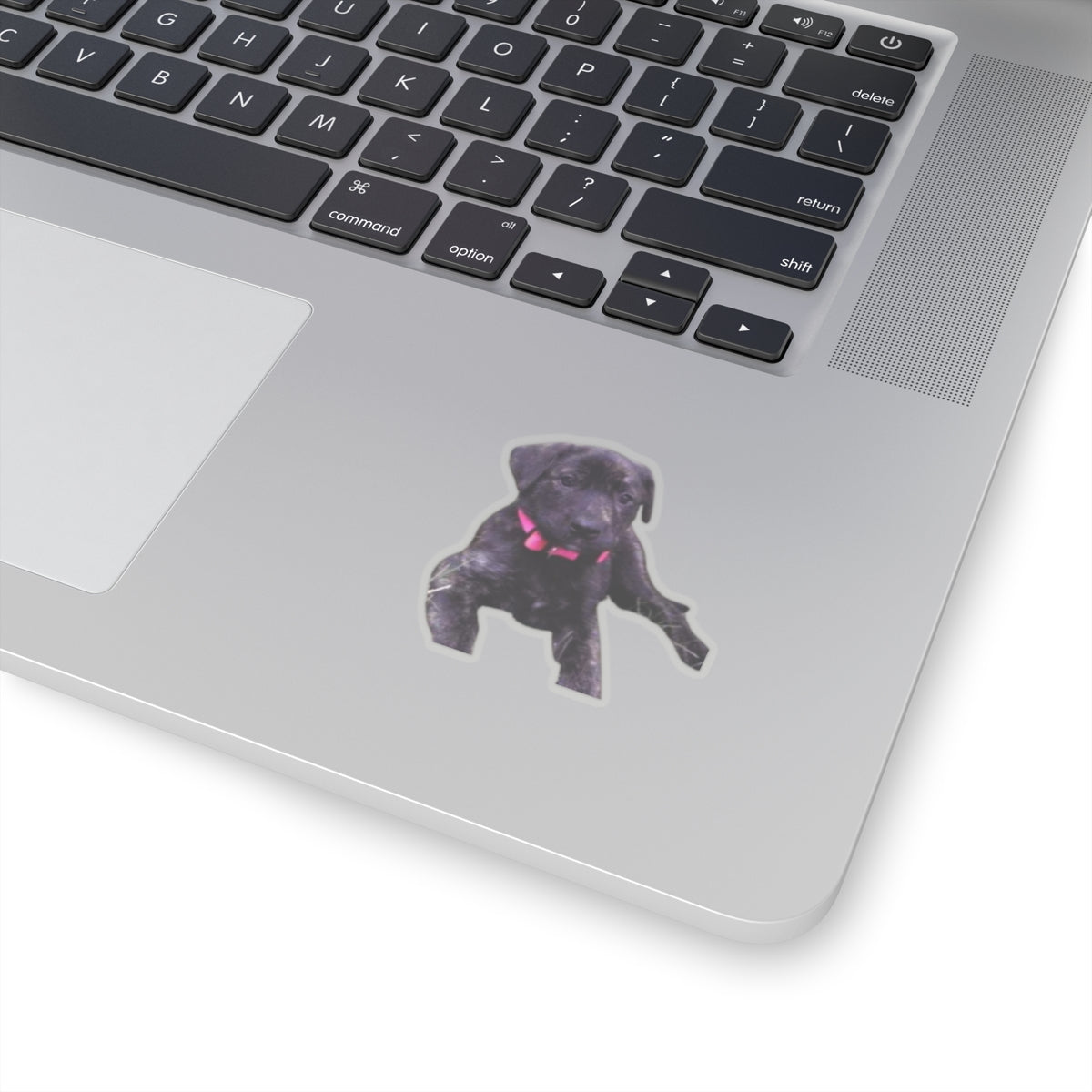 Cute Puppy Sticker for Dog Dad gifts Brindle Dog Sticker for Dog Lover Gift Dog Mom Gift