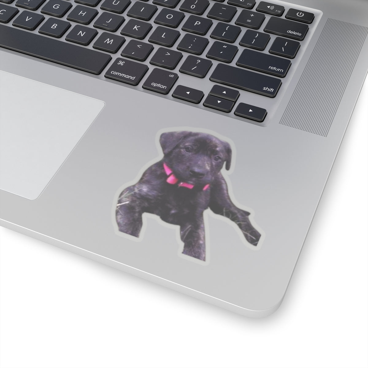 Cute Puppy Sticker for Dog Dad gifts Brindle Dog Sticker for Dog Lover Gift Dog Mom Gift
