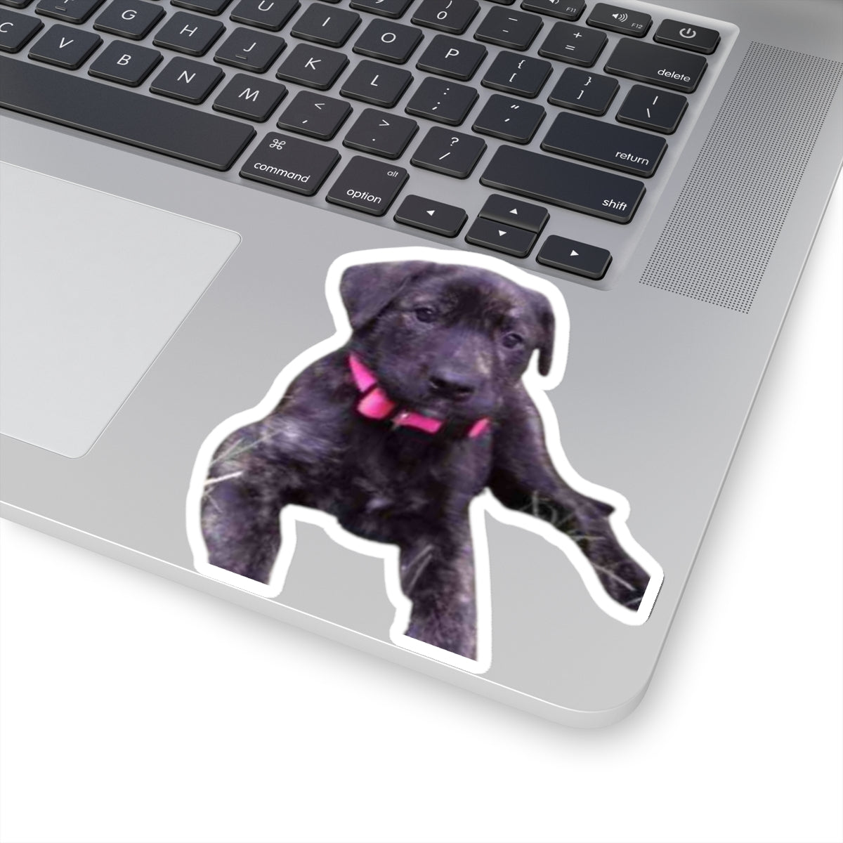 Cute Puppy Sticker for Dog Dad gifts Brindle Dog Sticker for Dog Lover Gift Dog Mom Gift